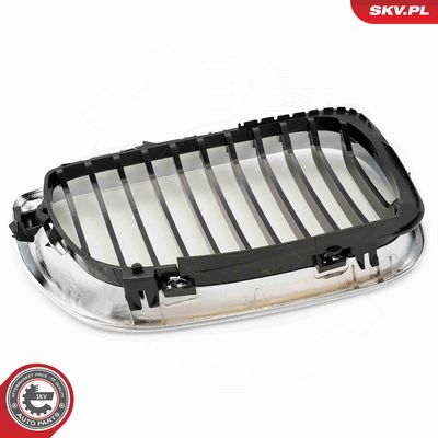 GRILA RADIATOR ESEN SKV 66SKV078 5