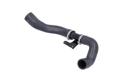 FURTUN EAR SUPRAALIMENTARE