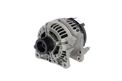 GENERATOR / ALTERNATOR REMANTE 011003000503R 6