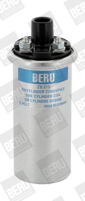 BorgWarner (BERU) Zündspule