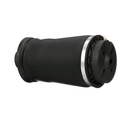 ARC PNEUMATIC DIRECTIE Arnott A2596 7