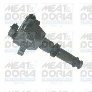 Ignition Coil 10310
