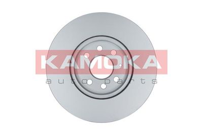 Brake Disc 103254