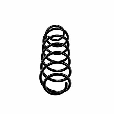 ARC SPIRAL EIBACH R10496 13