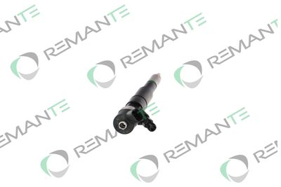 INJECTOR REMANTE 002003001174R 1