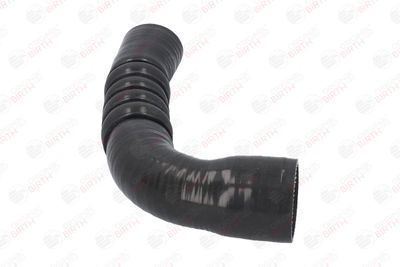 FURTUN EAR SUPRAALIMENTARE BIRTH 55588 10