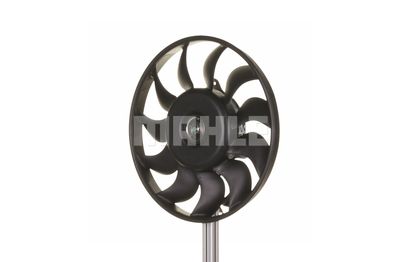 VENTILATOR RADIATOR MAHLE CFF136000S 13