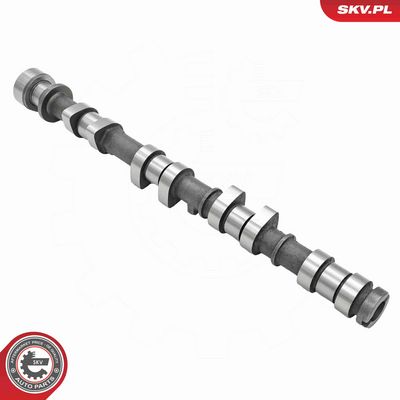 AX CU CAME ESEN SKV 80SKV046 2