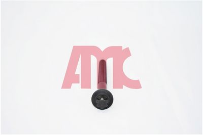 комплект болтове на капака на клап. (на цилиндровата глава) AMC 258289