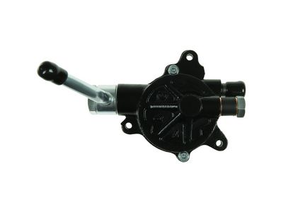 POMPA VACUUM SISTEM DE FRANARE AS-PL P5006S 1