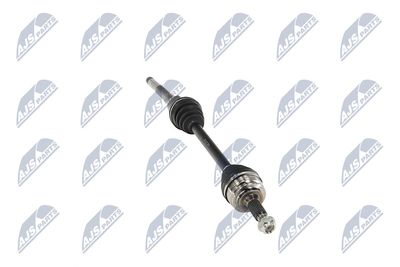 PLANETARA NTY NPWPE017 14