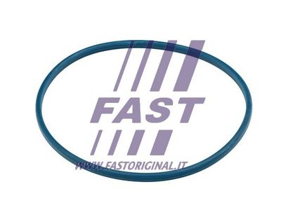 Uszczelka, szyjka wlewu paliwa FAST FT48504
