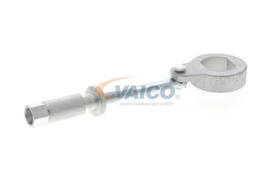 INTINZATOR CUREA TRANSMISIE VAICO V302079 54