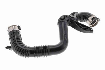 FURTUN EAR SUPRAALIMENTARE ACKOJA A380687 1