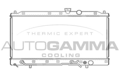 AUTOGAMMA 103960 Крышка радиатора для MITSUBISHI LANCER V (CB_A, CD_A, CE_A)