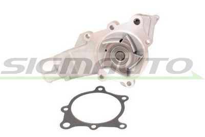 POMPă DE APă RăCIRE MOTOR