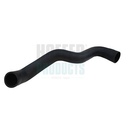 FURTUN EAR SUPRAALIMENTARE