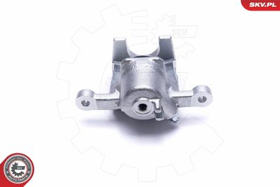 Brake Caliper 50SKV944