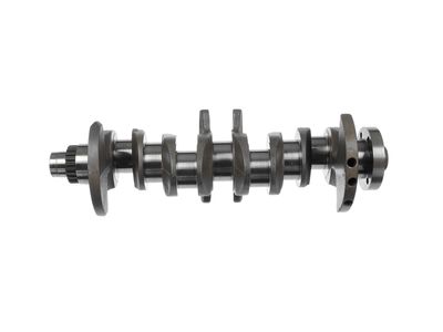 ARBORE COTIT ET ENGINETEAM HK0230 17