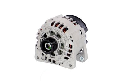GENERATOR / ALTERNATOR REMANTE 011003000221R 65