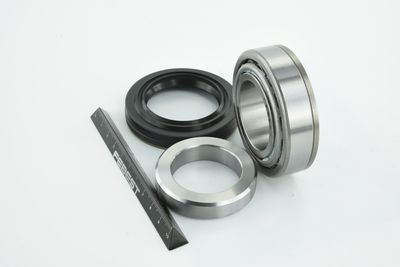 RULMENT AX CARDANIC FEBEST KITCH 11