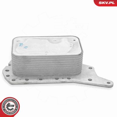RADIATOR ULEI ULEI MOTOR ESEN SKV 31SKV306 2