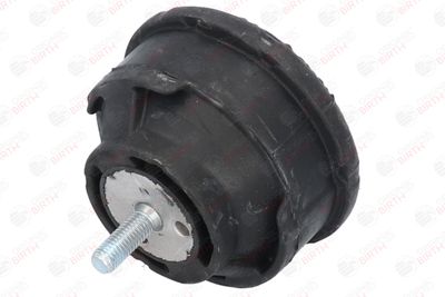SUPORT MOTOR BIRTH 50122 3