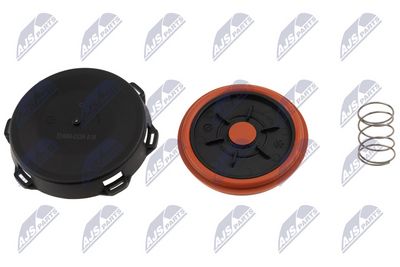 MEMBRANA AERISIRE CARCASA ARBORE COTIT