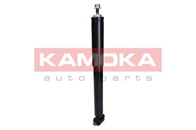 Shock Absorber 2000997