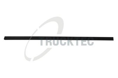 ELEMENTE DECORATIVE/PROTECTIE PORTIERA