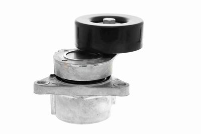 INTINZATOR CUREA CUREA DISTRIBUTIE ACKOJA A380332 4