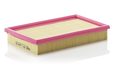 Air Filter C 2668