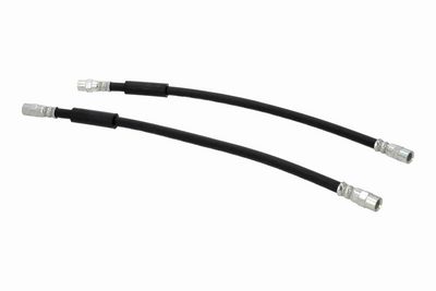 FURTUN FRANA VAICO V104109 2