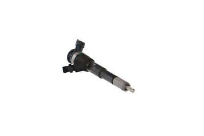 INJECTOR REMANTE 002003001494R 54