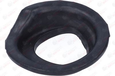 SAIBA ARC BIRTH 56745 3