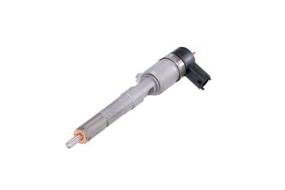 INJECTOR REMANTE 002003001022R 61