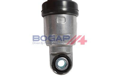 INTINZATOR CUREA CUREA DISTRIBUTIE BOGAP B1317101 3