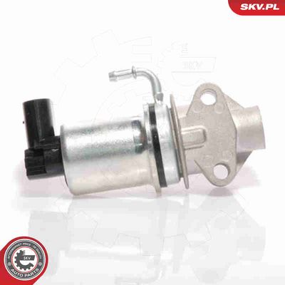 SUPAPA EGR ESEN SKV 14SKV018