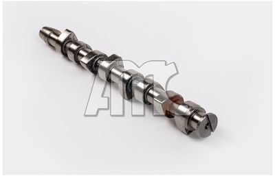 NOCKENWELLE AMC 613203 2