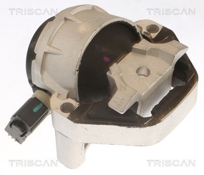 Подвеска, двигатель TRISCAN 8505 29170 для AUDI A6