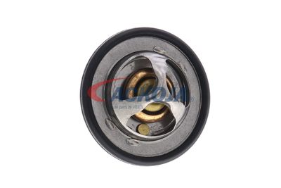 TERMOSTAT LICHID RACIRE ACKOJA A70990031 21