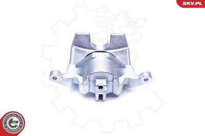 Brake Caliper 45SKV391