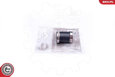 FURTUN EAR SUPRAALIMENTARE