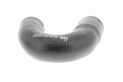 FURTUN EAR SUPRAALIMENTARE VAICO V240804 5