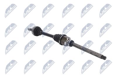 PLANETARA NTY NPWPE081 29