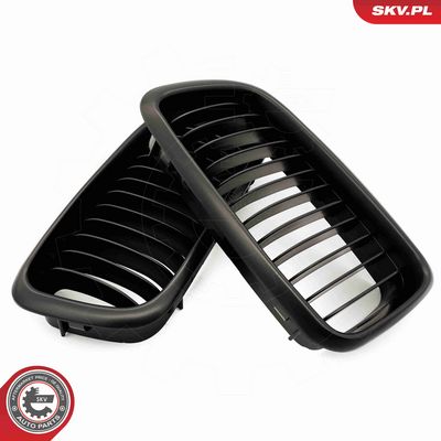 GRILA RADIATOR ESEN SKV 66SKV213 3