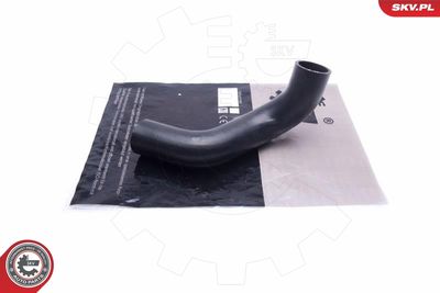 FURTUN EAR SUPRAALIMENTARE