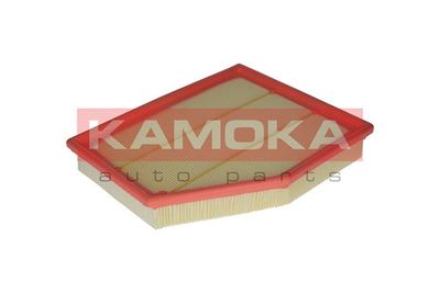 Air Filter F219501