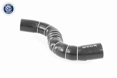 FURTUN EAR SUPRAALIMENTARE ACKOJA A389602 6