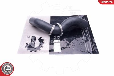 FURTUN EAR SUPRAALIMENTARE